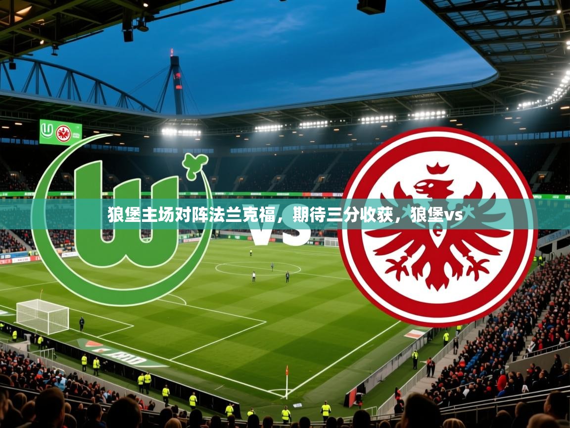 狼堡主场对阵法兰克福,期待三分收获,狼堡vs 狼堡主场对阵法兰克福,期待三分收获,狼堡vs