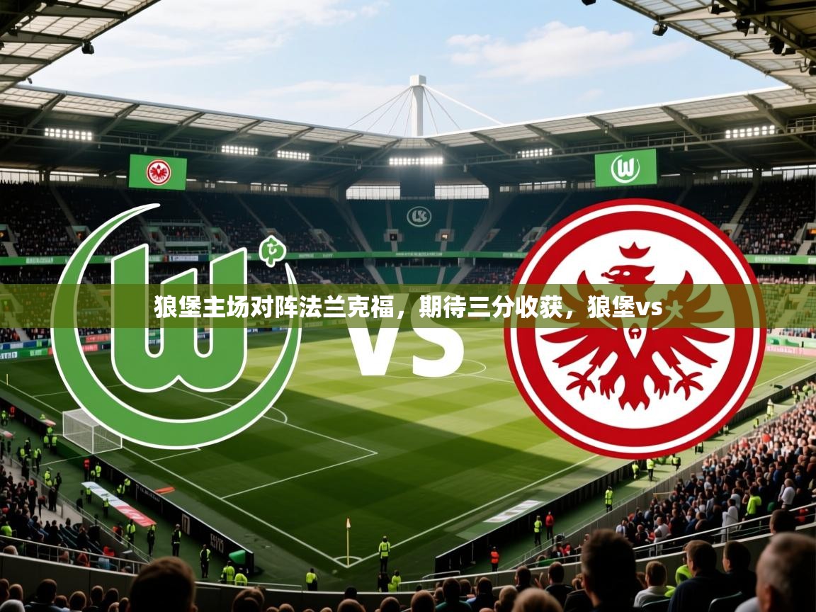 狼堡主场对阵法兰克福,期待三分收获,狼堡vs 狼堡主场对阵法兰克福,期待三分收获,狼堡vs