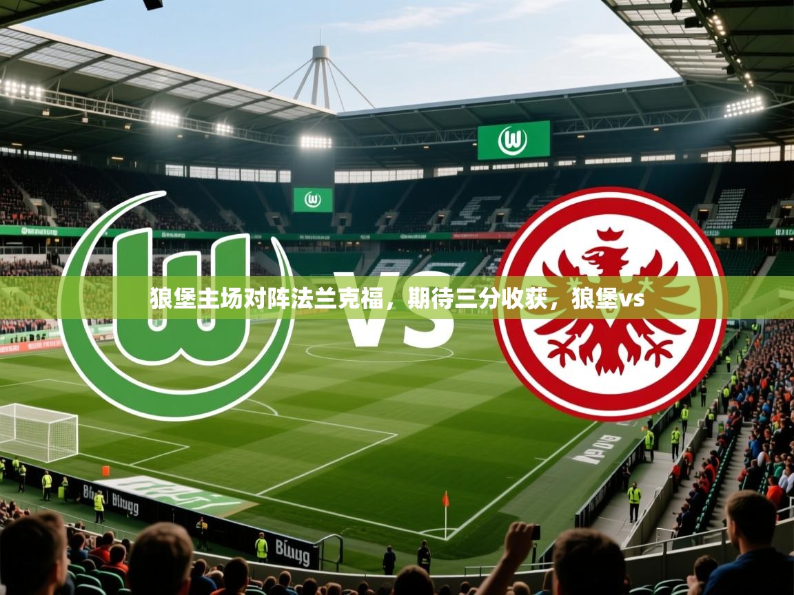 狼堡主场对阵法兰克福,期待三分收获,狼堡vs 狼堡主场对阵法兰克福,期待三分收获,狼堡vs