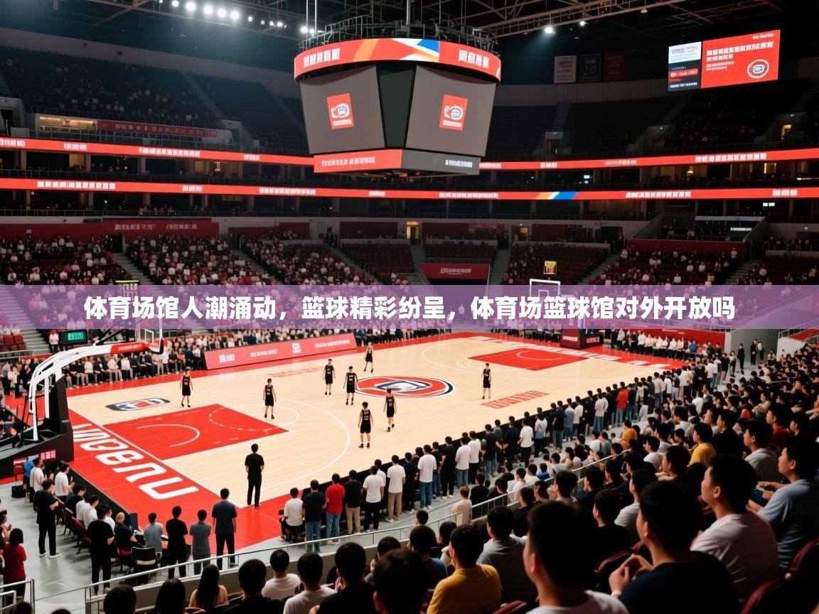 体育场馆人潮涌动，篮球精彩纷呈，体育场篮球馆对外开放吗