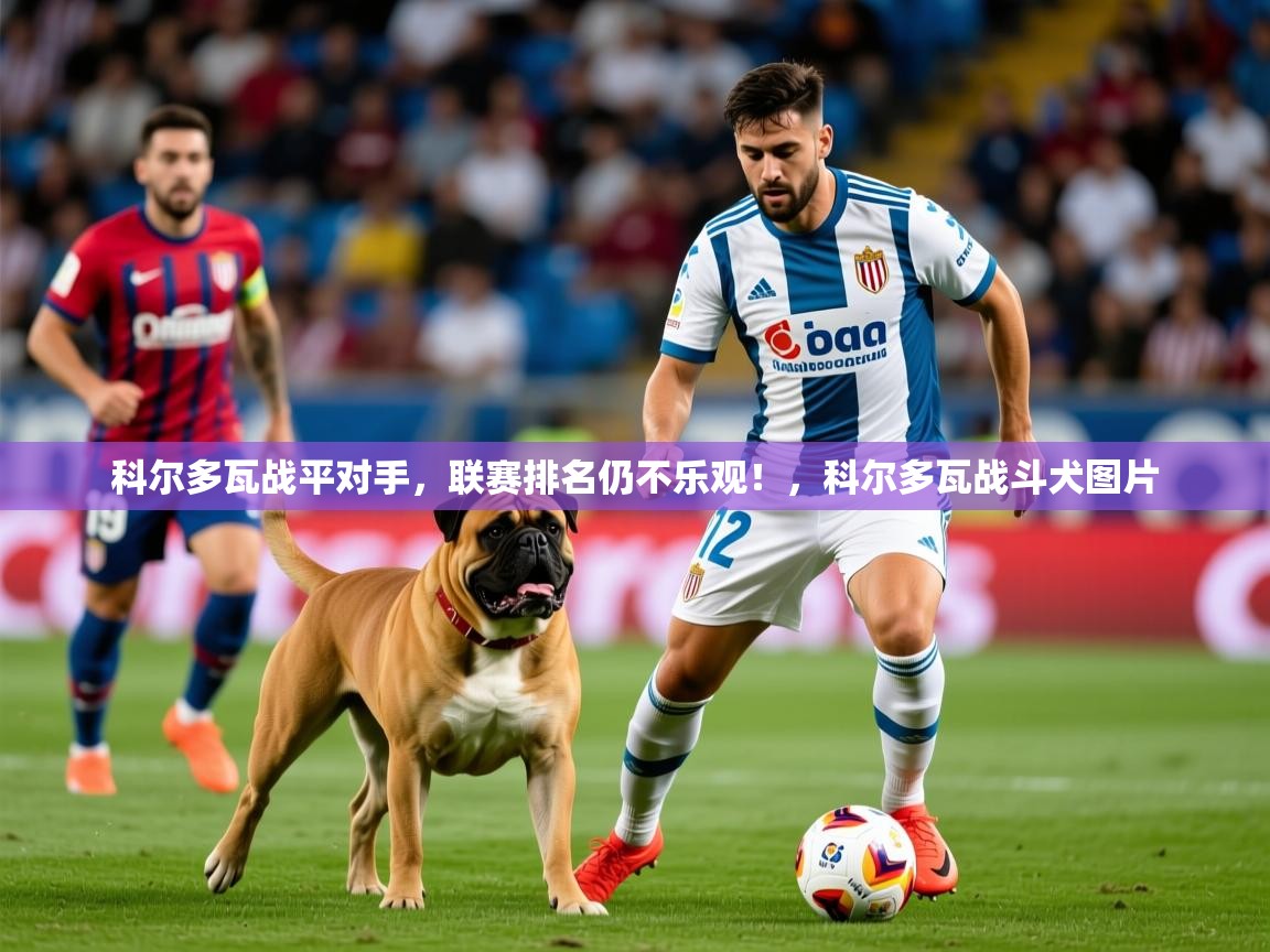 科尔多瓦战平对手,联赛排名仍不乐观!,科尔多瓦战斗犬图片 科尔多瓦战平对手,联赛排名仍不乐观!,科尔多瓦战斗犬图片