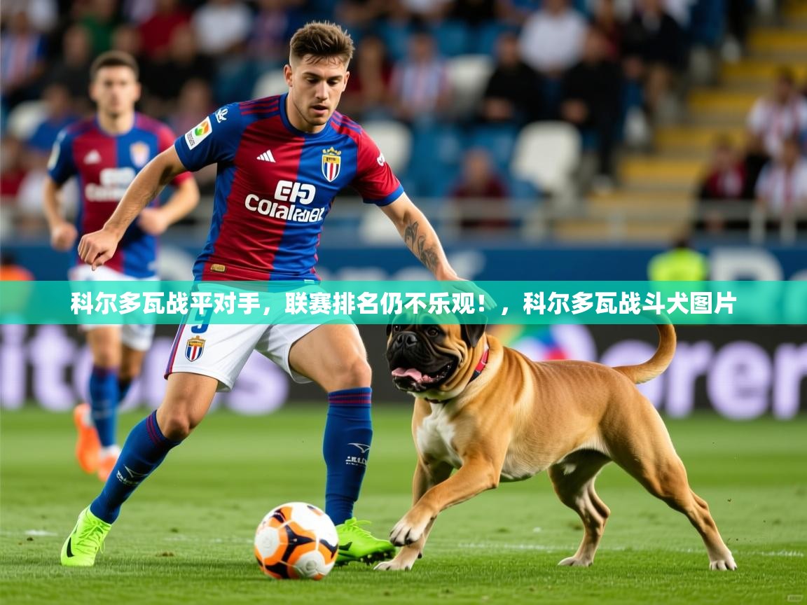 科尔多瓦战平对手,联赛排名仍不乐观!,科尔多瓦战斗犬图片 科尔多瓦战平对手,联赛排名仍不乐观!,科尔多瓦战斗犬图片