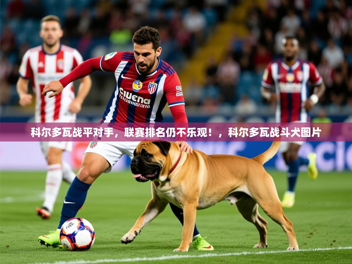 科尔多瓦战平对手,联赛排名仍不乐观!,科尔多瓦战斗犬图片 科尔多瓦战平对手,联赛排名仍不乐观!,科尔多瓦战斗犬图片