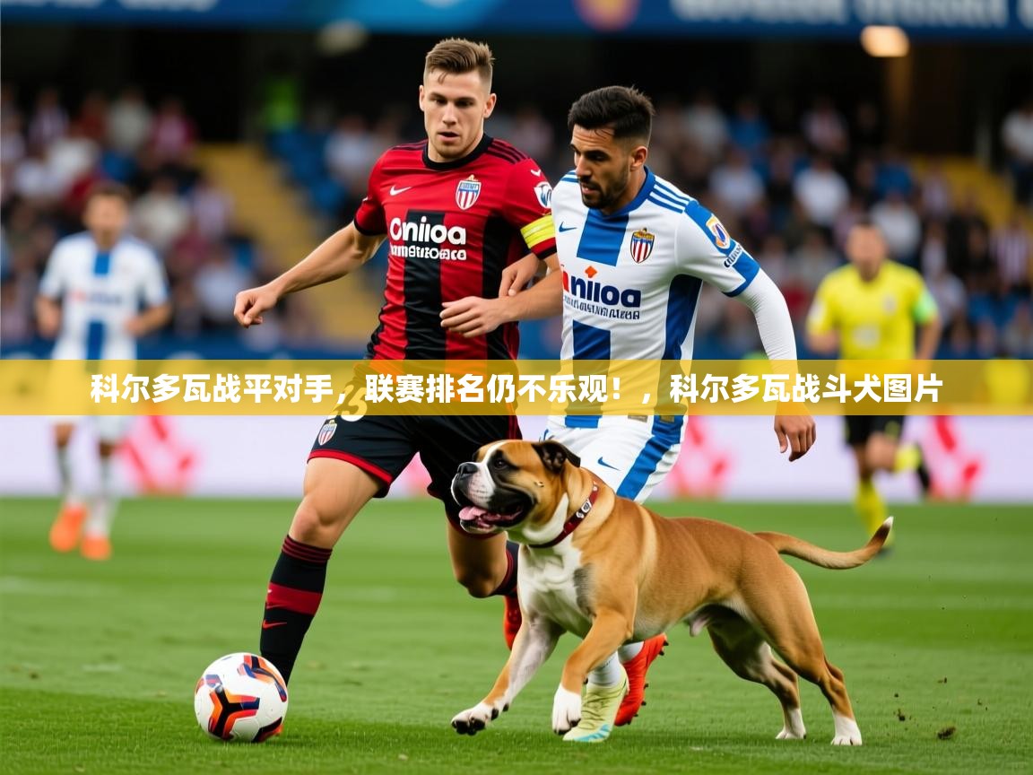 科尔多瓦战平对手,联赛排名仍不乐观!,科尔多瓦战斗犬图片 科尔多瓦战平对手,联赛排名仍不乐观!,科尔多瓦战斗犬图片