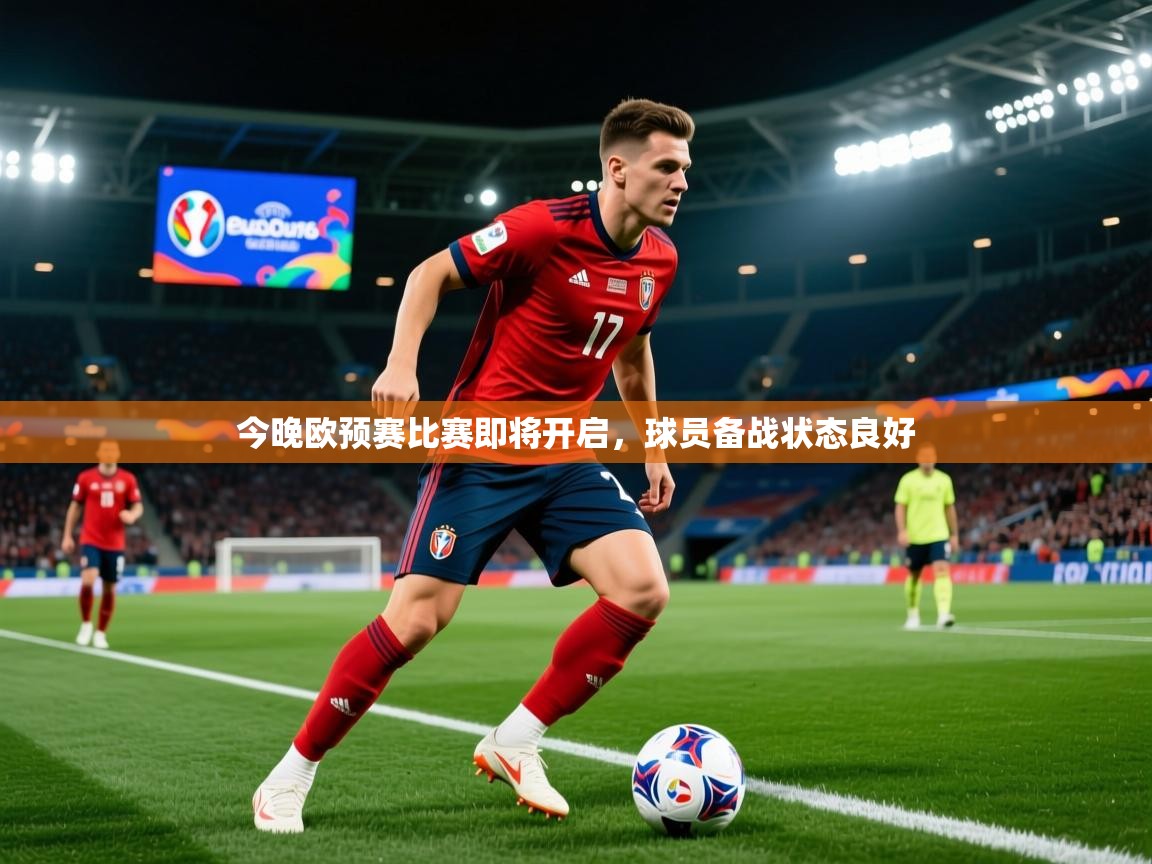今晚欧预赛比赛即将开启，球员备战状态良好