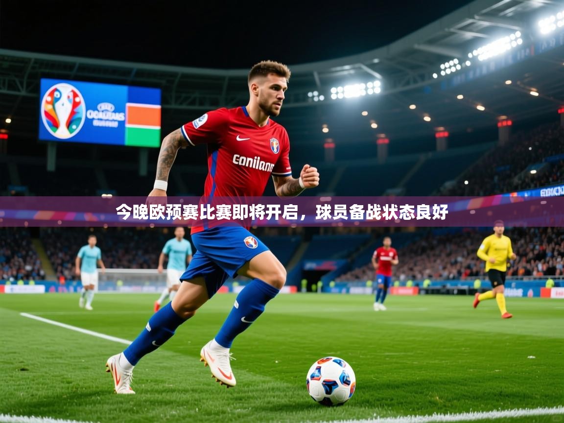 今晚欧预赛比赛即将开启，球员备战状态良好